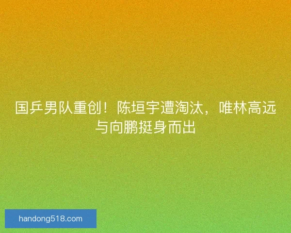 国乒男队重创！陈垣宇遭淘汰，唯林高远与向鹏挺身而出